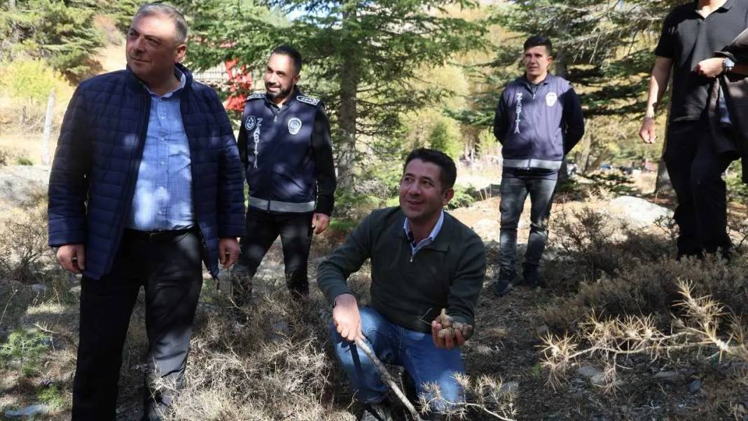 Toroslar’ın Beyaz Altını Japonya Yolcusu: Fiyatı Dudak Uçuklattı! 8